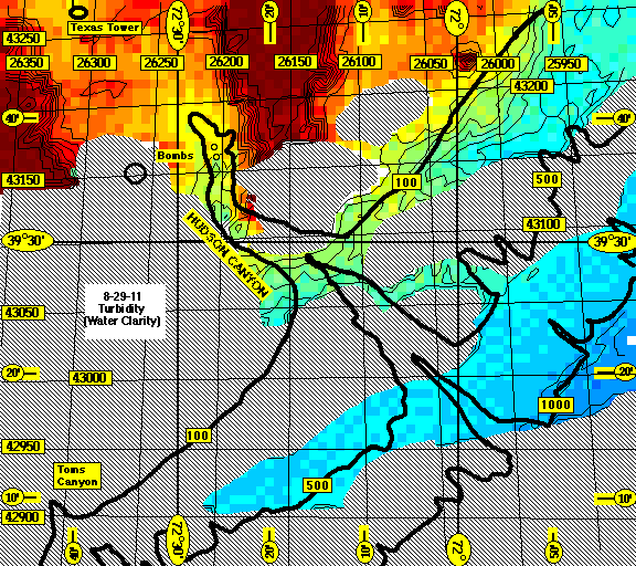 Hudson Canyon (Turbidity Image)