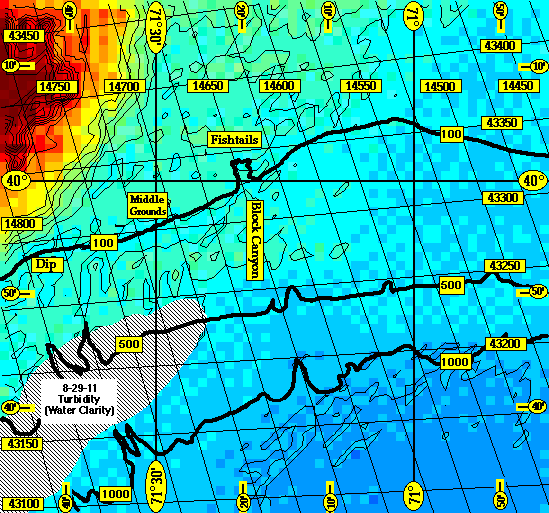 Block Canyon (Turbidity Image)